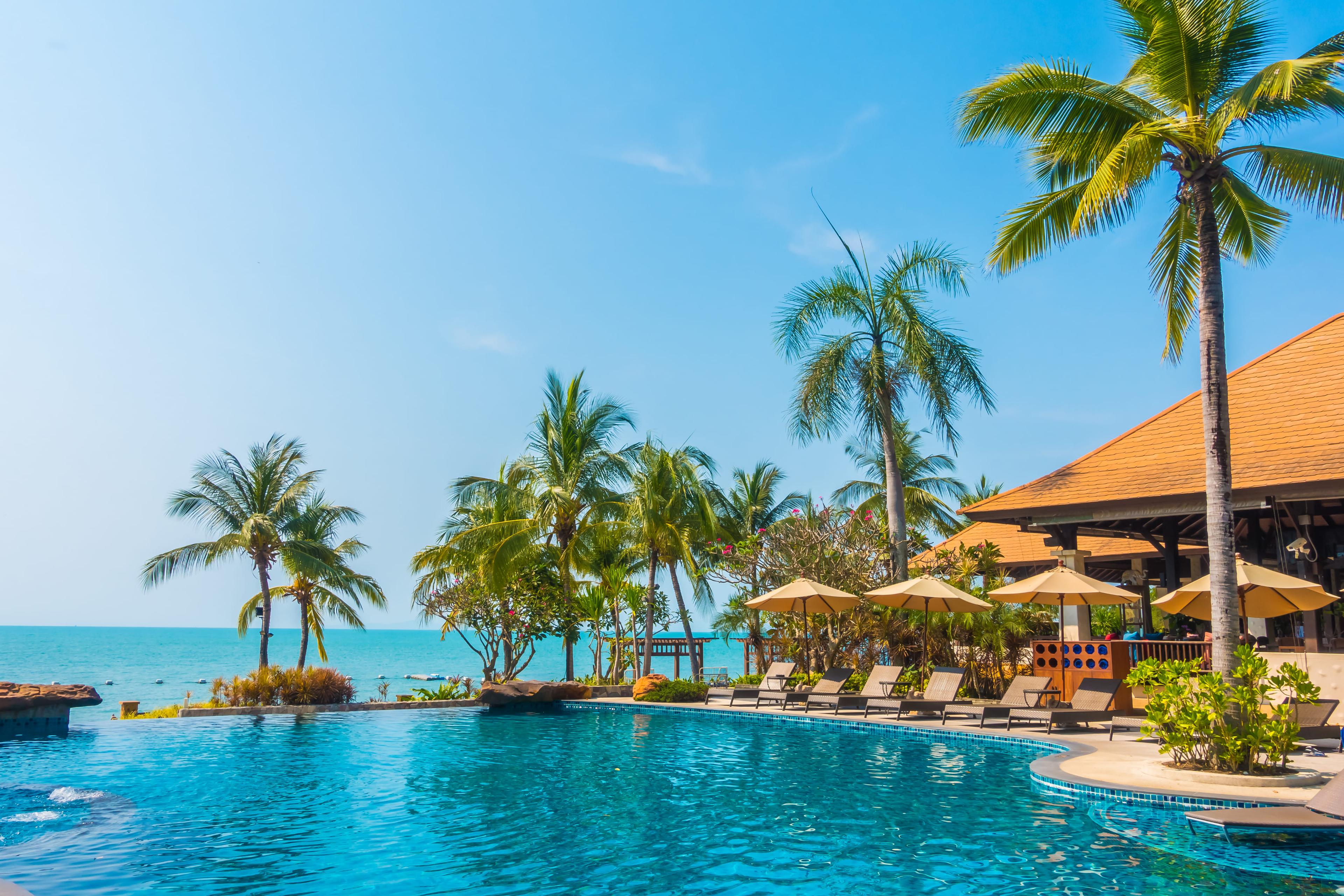 Modern resort pool area with sun loungers and palm trees