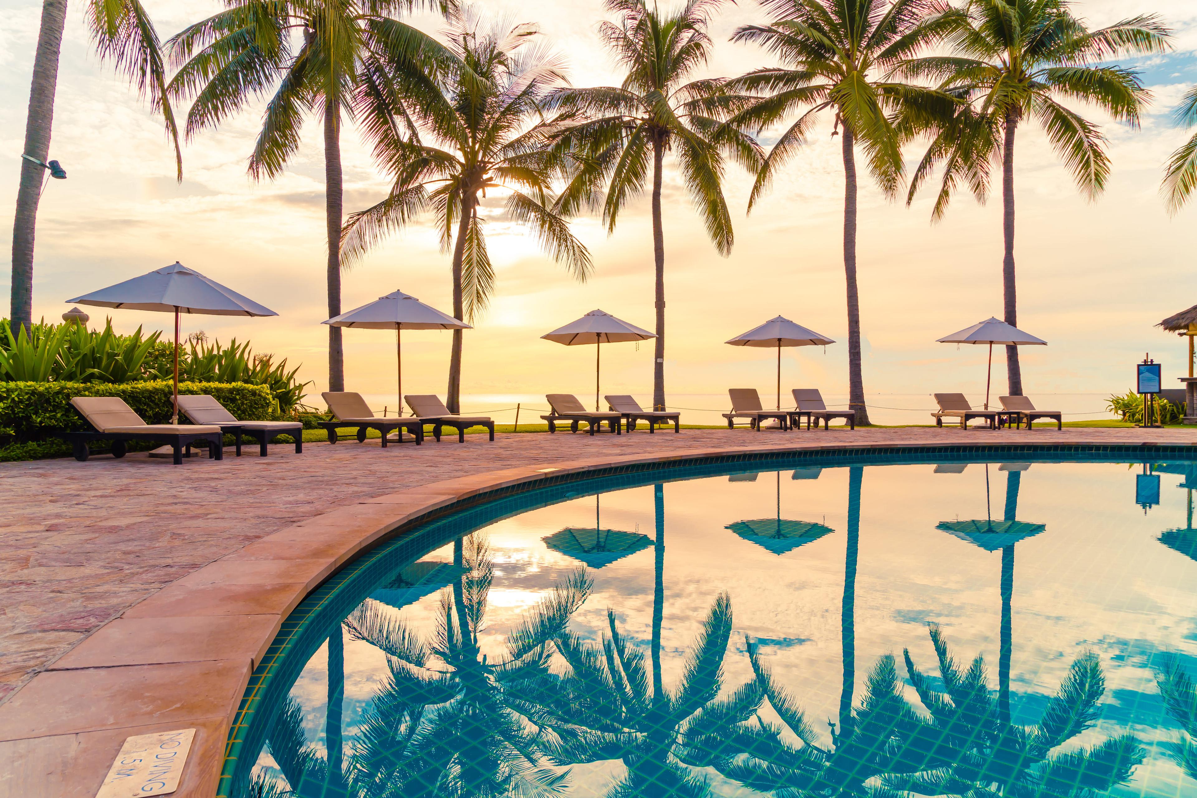 Vacation resort pool with lounge chairs and palm trees